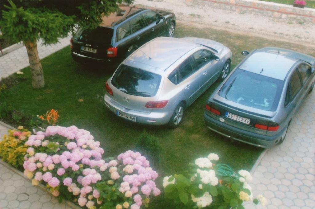Apartments Tomic Ohrid Exterior foto